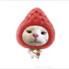 t.n.huyen1