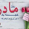 user78869105866535