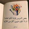 user8020466628366