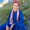 shahidkhan49804