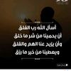 user3616095575042