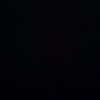 user19874678257