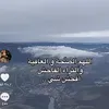 user497516568