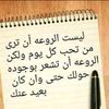 user3391571835411
