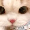 kamonrat.chanam