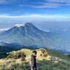 alaskaaaours