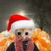 pochka_kenga