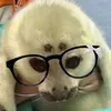• ω •