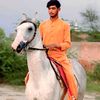 sardarfaisaldogar1284