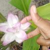 mst..sadiya.akter26