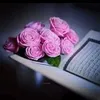 user41430981599360