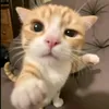 hun.cuti0