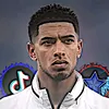 hama_fcb65