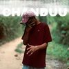 119_chandu_official