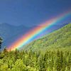 .rainbow7121