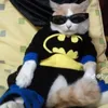 libi_libi12345
