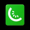 cursoexpress_kiwi