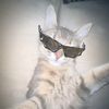 ikyy_bar7