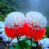 user6272720120916