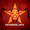 Kiến Việt - Vietnamese Ants