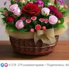 user658357573634722