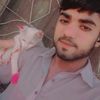 sanwalmalik5377