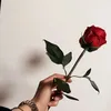 zainab.saad178