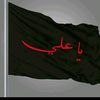 rajamoize.11