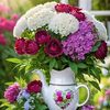 meriemlarbi761