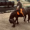 animals.first.rule.1