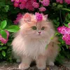 flower.3124