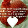 umu.sagal2