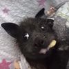 reeseissleepy