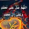 omahmed3528