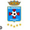 blooming.de.corazon