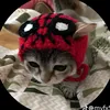 rich_76768