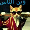 huruy.wed.sansil