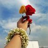 azmir.shikder7