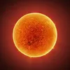 SUNLIGHT