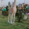 ch.altaf.gujjar.7