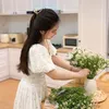 Dược Ở Nhà ☘️