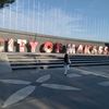 diaty490
