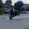 bravedave713