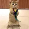 dayanamanilacats