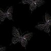 onlybutterflyz_