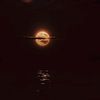 aynur_ferecova_