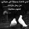 user57474718414315
