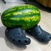 pizdabol11611