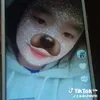 n_trinh210