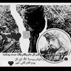 user8829788119237